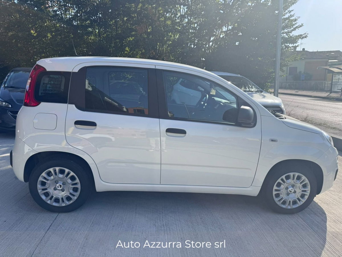 Fiat Panda Cross Cross 1.0 FireFly S&S Hybrid (6)