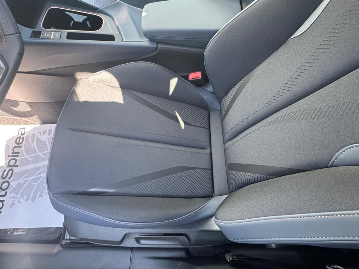 Cupra Terramar 1.5 hybrid 150cv dsg (10)