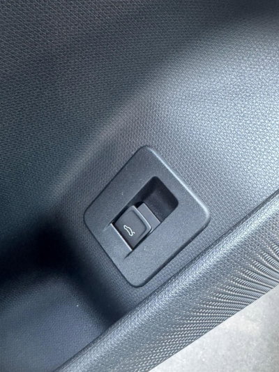 Cupra Terramar 1.5 hybrid 150cv dsg (12)