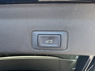 Cupra Terramar 1.5 hybrid 150cv dsg (15)