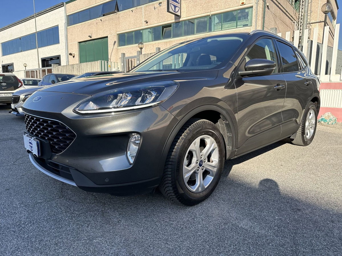 Ford Kuga 1.5 EcoBoost 120 CV 2WD