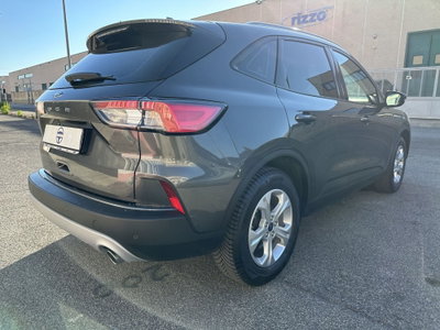 Ford Kuga 1.5 EcoBoost 120 CV 2WD (6)