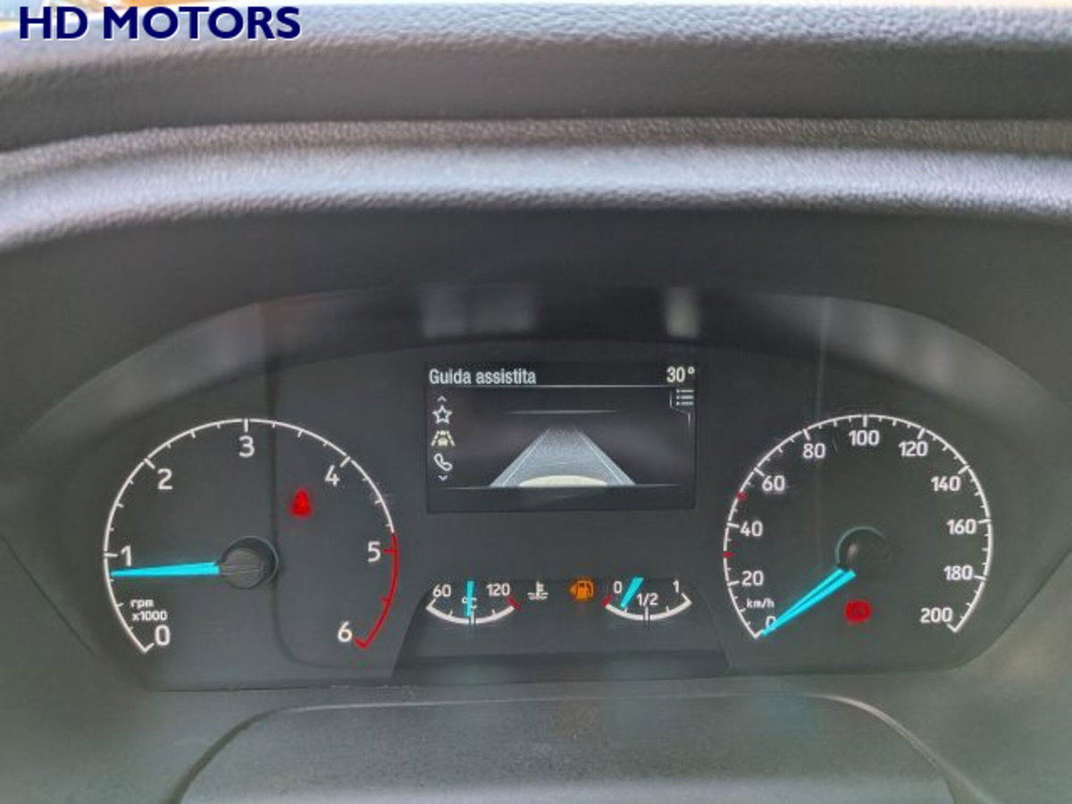 Ford Transit Telaio 350 2.0TDCi HDT 170CV RWD PM-RG Cab.Trend (17)