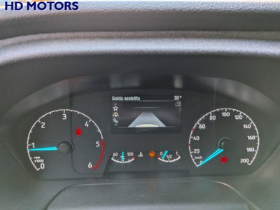 Ford Transit Telaio 350 2.0TDCi HDT 170CV RWD PM-RG Cab.Trend (17)