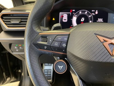 Cupra Leon Leon 2.0 tdi 150cv dsg (17)