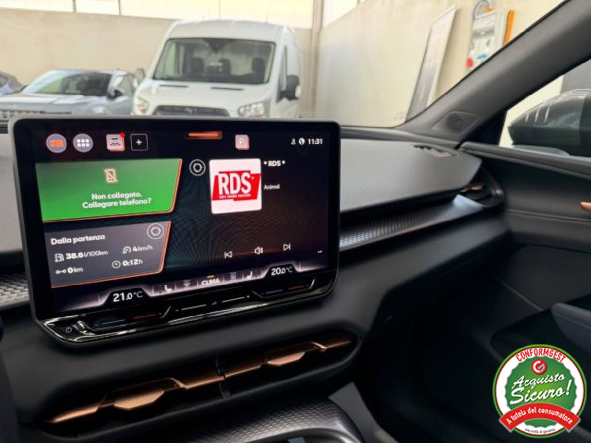 Cupra Terramar 1.5 hybrid 150cv dsg (12)