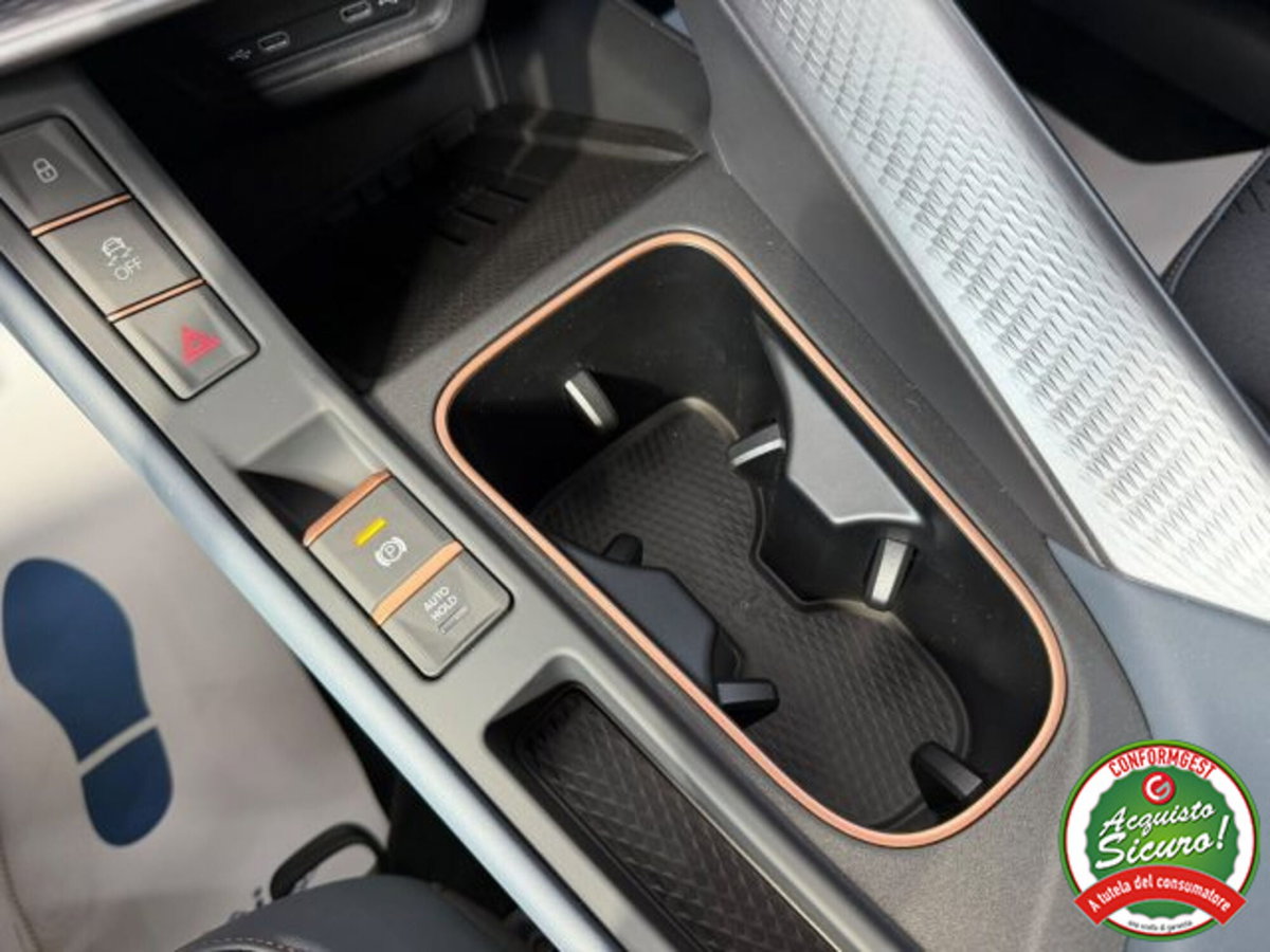 Cupra Terramar 1.5 hybrid 150cv dsg (20)