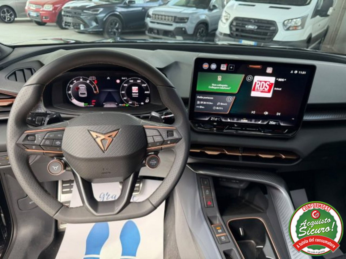 Cupra Terramar 1.5 hybrid 150cv dsg (9)