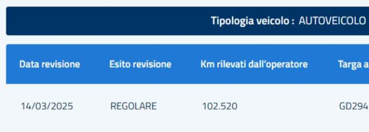 Fiat Panda 1.0 FireFly S&S Hybrid City Cross (7)