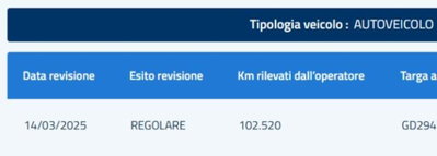 Fiat Panda 1.0 FireFly S&S Hybrid City Cross (7)