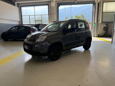Fiat Panda Cross Cross 0.9 TwinAir Turbo S&S 4x4 (2)