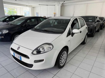 Fiat Punto 1.2 8V 5 porte Street (3)