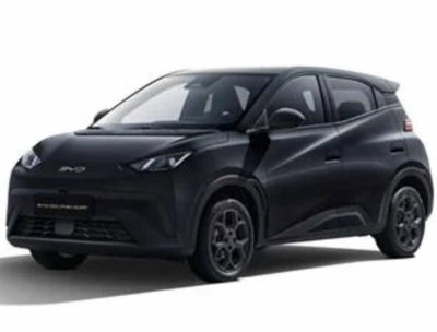 Byd Dolphin Surf 43,2 kWh Comfort nuova