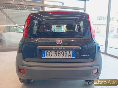 Fiat Panda 1.0 firefly hybrid s&s 70cv 5p.ti (4)