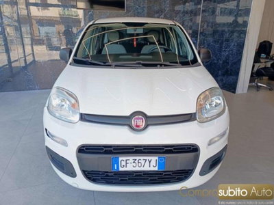 Fiat Panda 1.0 firefly hybrid s&s 70cv 5p.ti usata