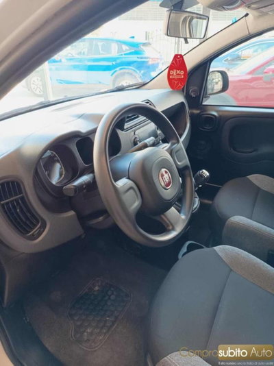 Fiat Panda 1.0 firefly hybrid s&s 70cv 5p.ti (16)