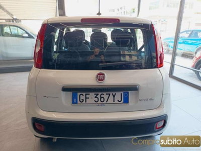 Fiat Panda 1.0 firefly hybrid s&s 70cv 5p.ti (5)