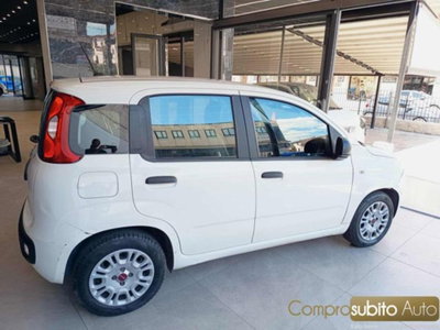 Fiat Panda 1.0 firefly hybrid s&s 70cv 5p.ti (6)