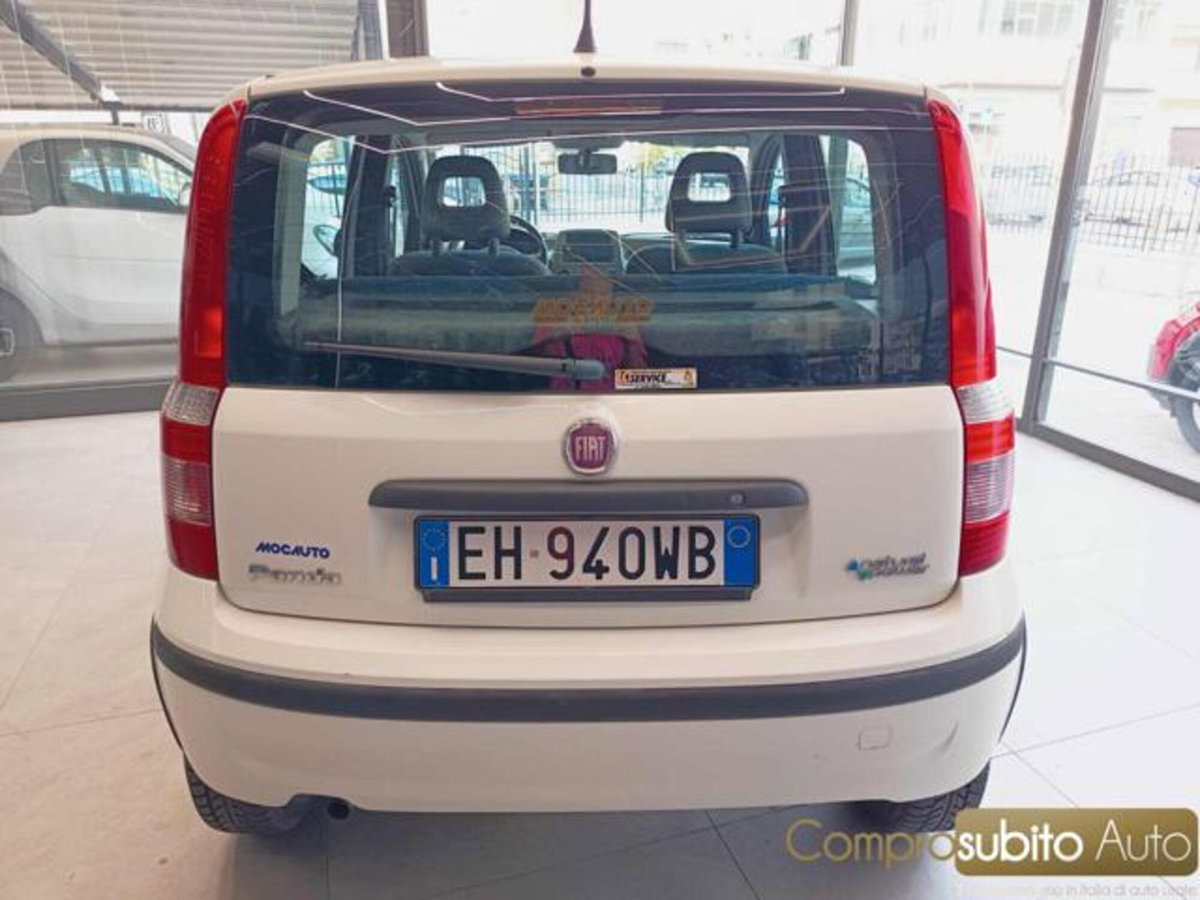 Fiat Panda 1.4 Climbing Natural Power (4)