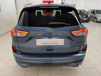 Ford Kuga 2.5 Plug In Hybrid 225 CV CVT 2WD ST-Line (4)