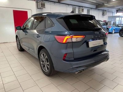Ford Kuga 2.5 Plug In Hybrid 225 CV CVT 2WD ST-Line (5)