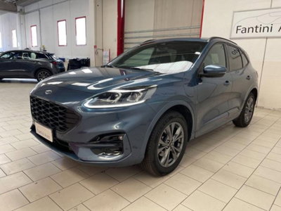 Ford Kuga 2.5 Plug In Hybrid 225 CV CVT 2WD ST-Line (6)