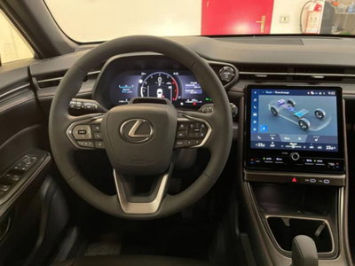 Lexus LBX 1.5 hybrid Elegant 2wd (19)