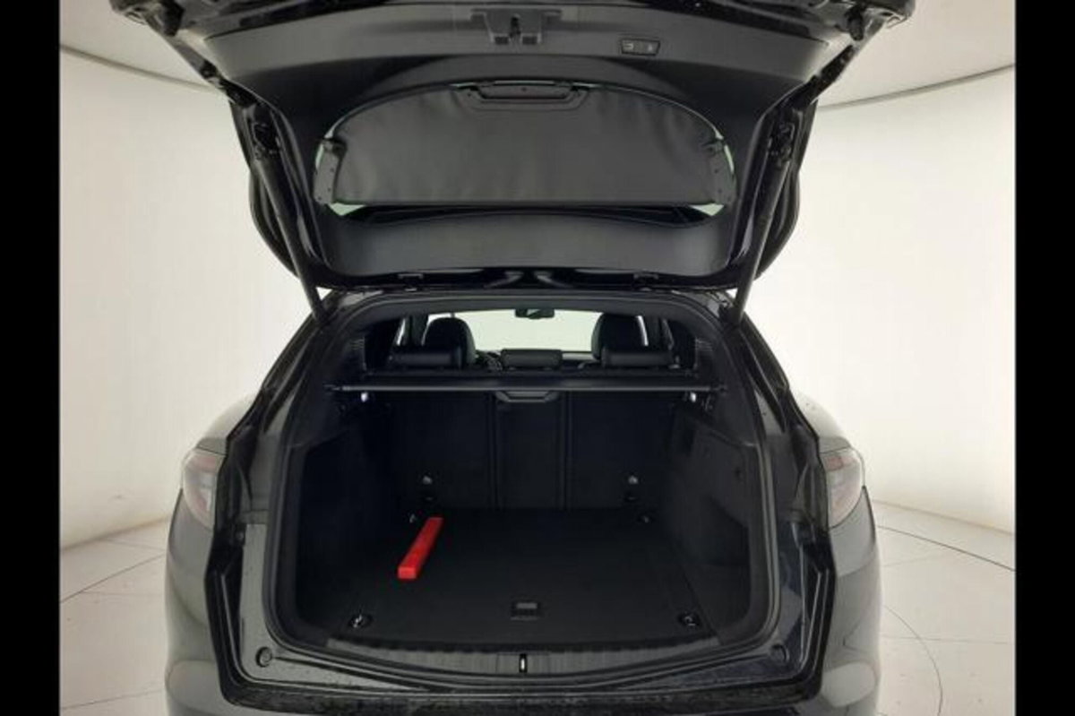 Alfa Romeo Stelvio Stelvio 2.2 Turbodiesel 210 CV AT8 Q4 Veloce (10)