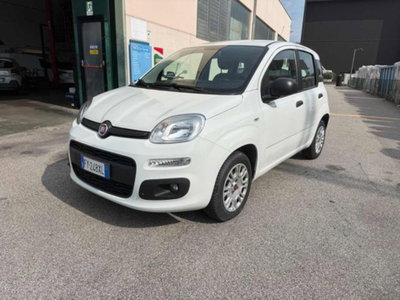 Fiat Panda 1.2 Easy usata