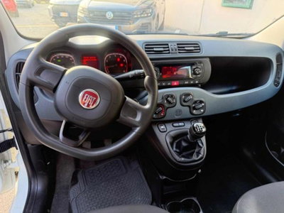 Fiat Panda 1.2 Easy (12)