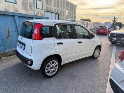 Fiat Panda 1.2 Easy (4)