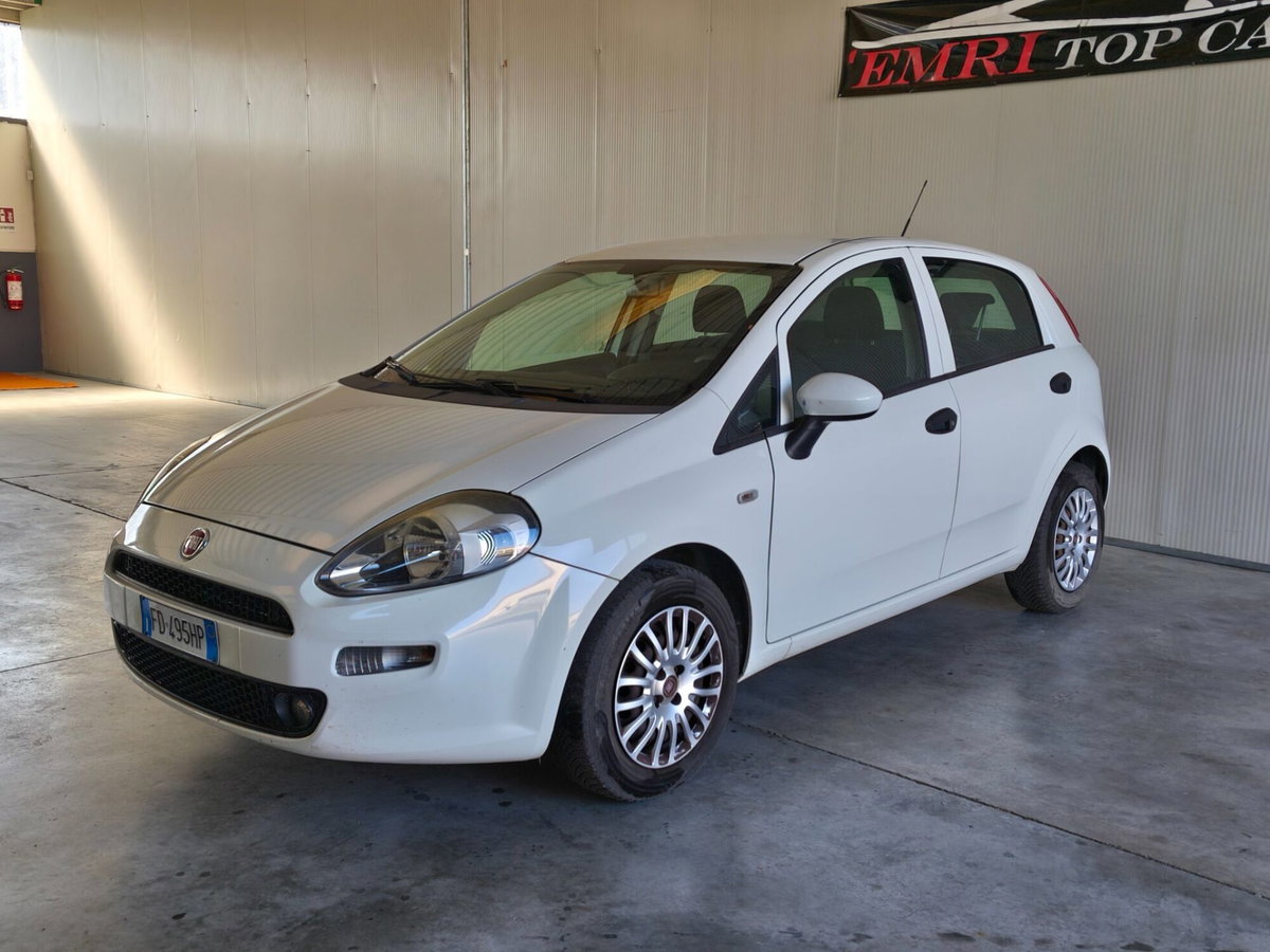 Fiat Punto 1.4 8V GPL 5 porte Van Pop 4 posti (5)