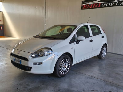 Fiat Punto 1.4 8V GPL 5 porte Van Pop 4 posti (5)
