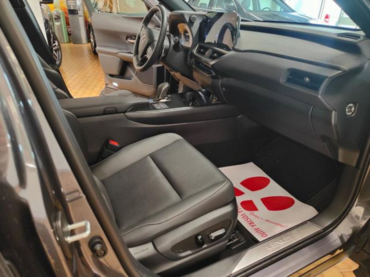 Lexus UX Full Electric Luxury (16)