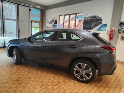 Lexus UX Full Electric Luxury (8)