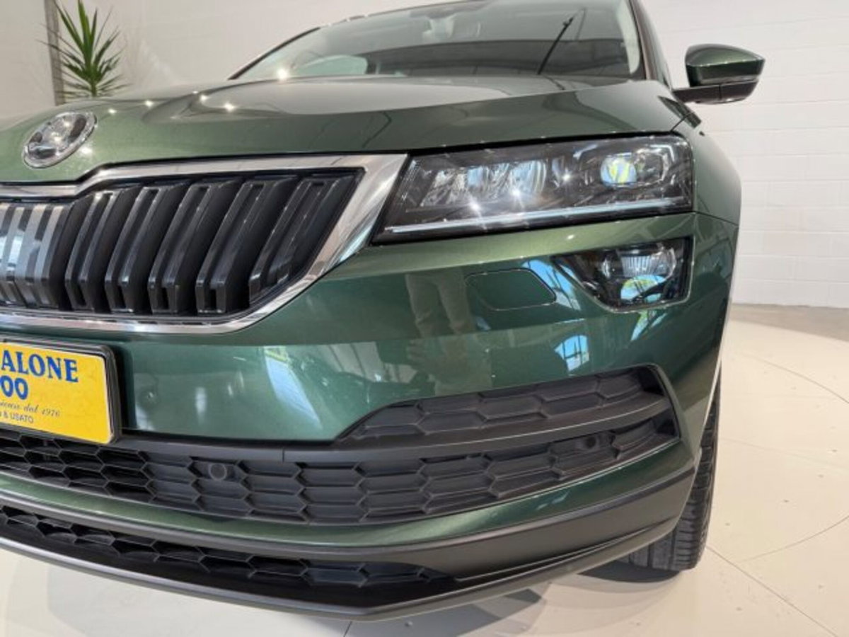 Skoda Karoq 1.0 TSI DSG Executive (15)