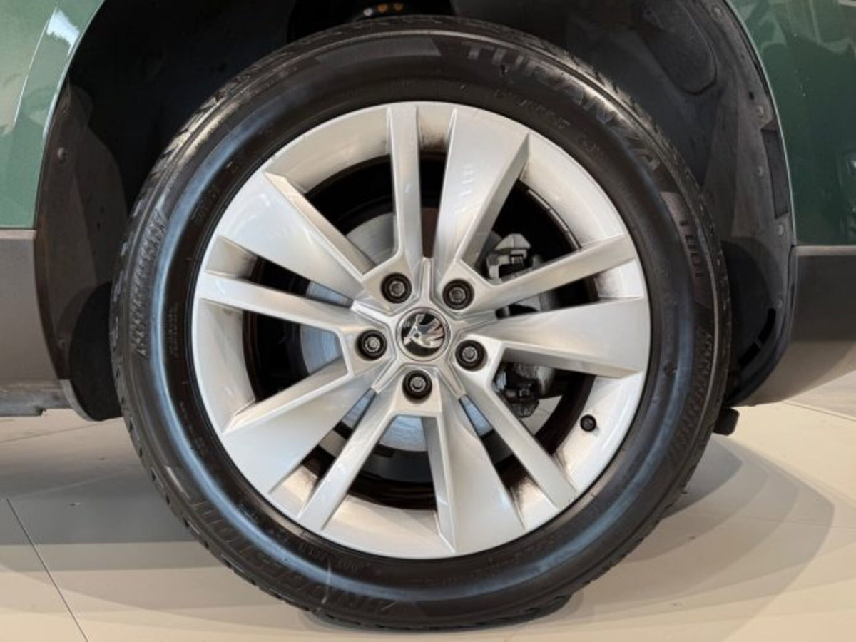 Skoda Karoq 1.0 TSI DSG Executive (9)
