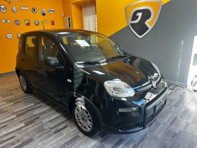Fiat Panda Cross Cross 1.0 FireFly S&S Hybrid usata