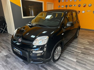 Fiat Panda Cross Cross 1.0 FireFly S&S Hybrid (2)