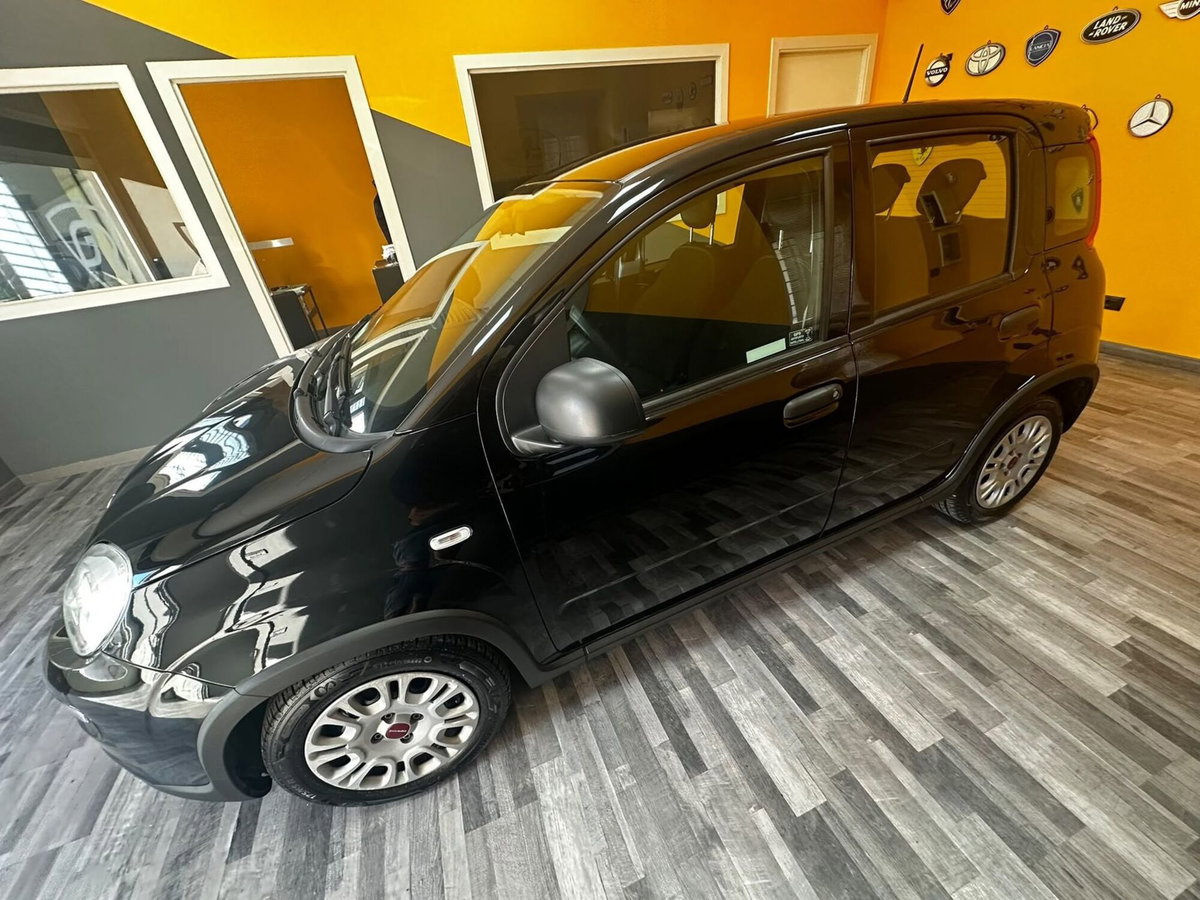 Fiat Panda Cross Cross 1.0 FireFly S&S Hybrid (4)