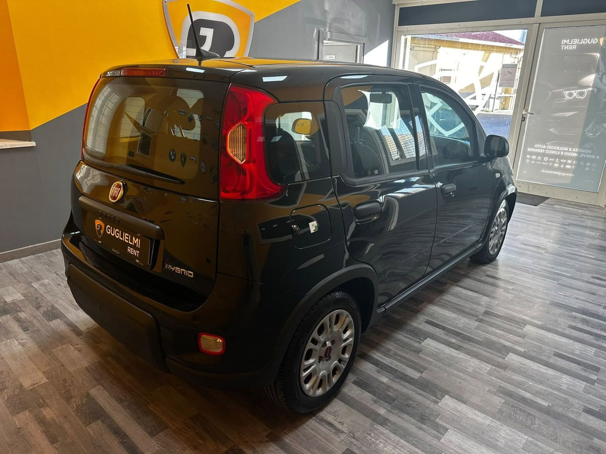 Fiat Panda Cross Cross 1.0 FireFly S&S Hybrid (6)