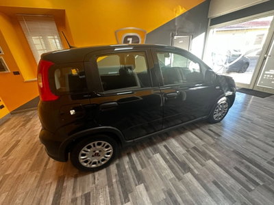 Fiat Panda Cross Cross 1.0 FireFly S&S Hybrid (7)