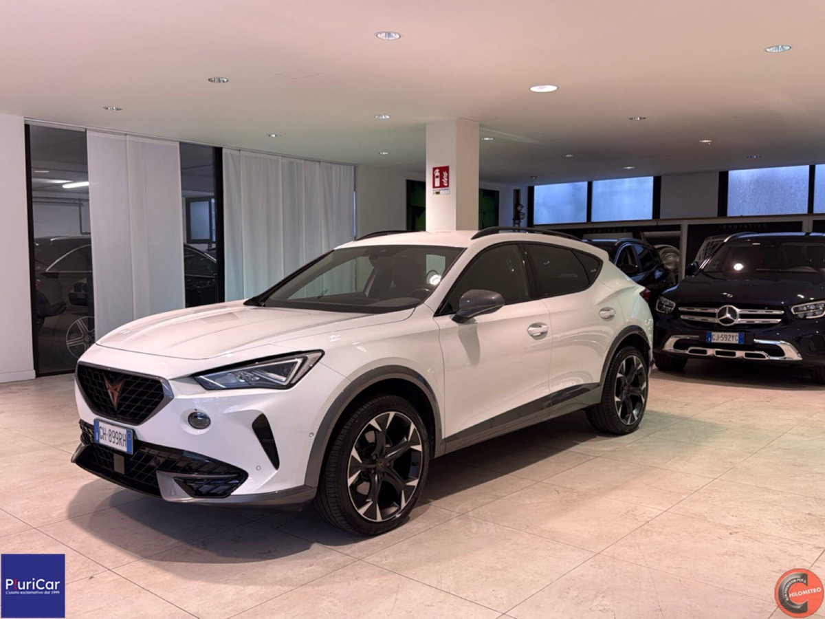 Cupra Formentor Formentor 2.0 tsi 4drive 190cv dsg