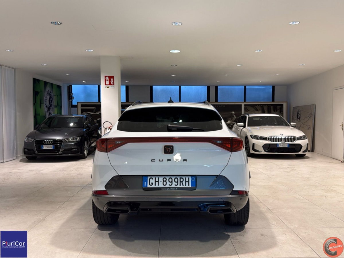 Cupra Formentor Formentor 2.0 tsi 4drive 190cv dsg (16)