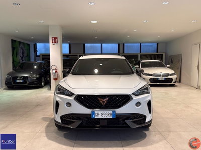 Cupra Formentor Formentor 2.0 tsi 4drive 190cv dsg (17)