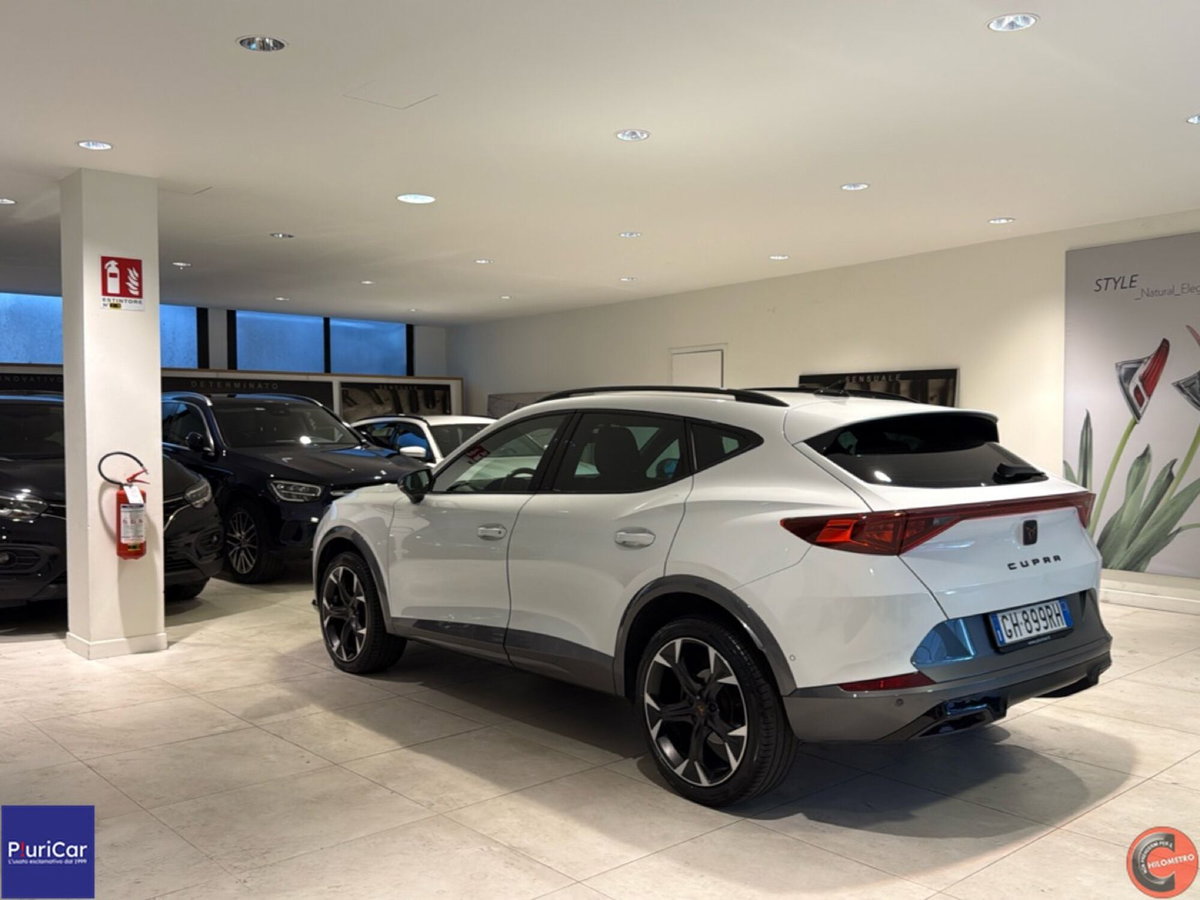 Cupra Formentor Formentor 2.0 tsi 4drive 190cv dsg (6)