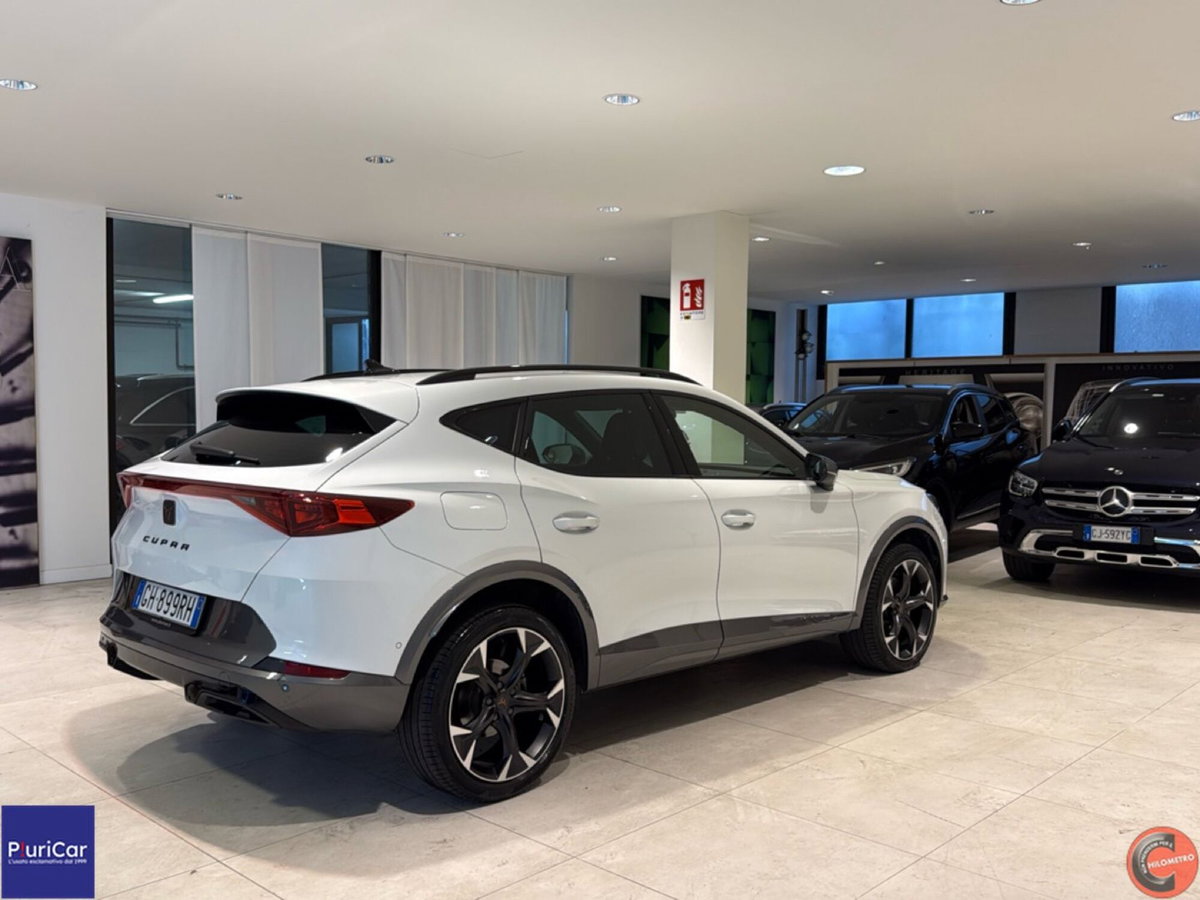 Cupra Formentor Formentor 2.0 tsi 4drive 190cv dsg (7)
