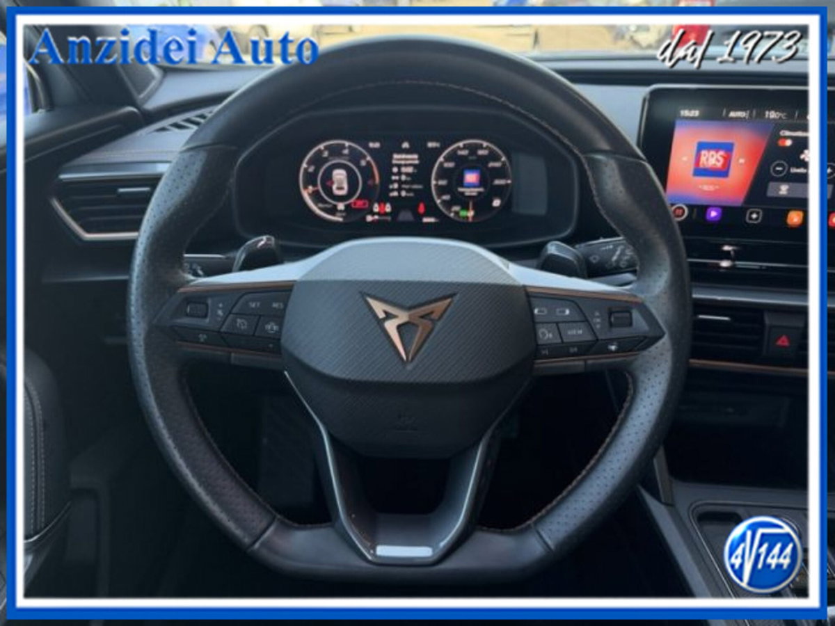 Cupra Formentor Formentor 2.0 tdi 4drive 150cv dsg (11)