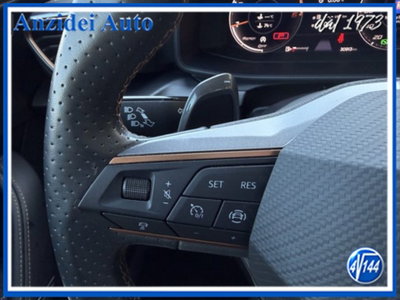 Cupra Formentor Formentor 2.0 tdi 4drive 150cv dsg (15)