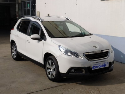Peugeot 2008 100 Active (15)
